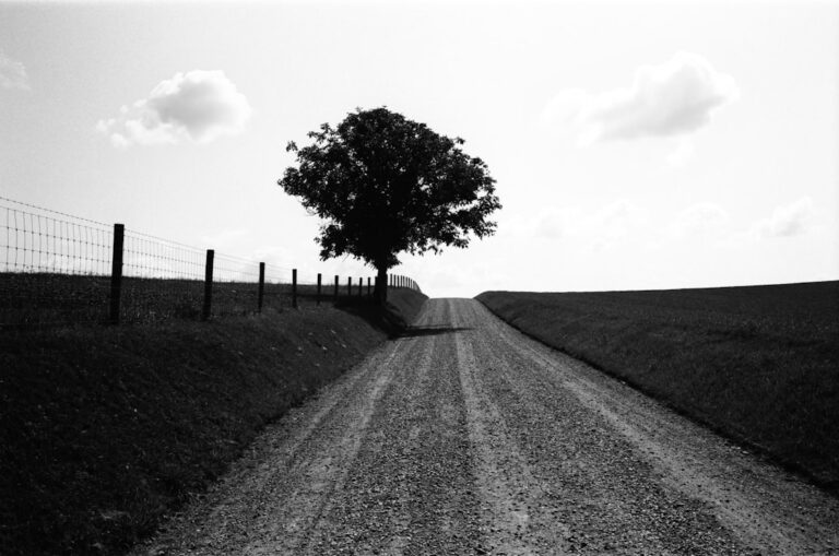 Photo Legislation impact