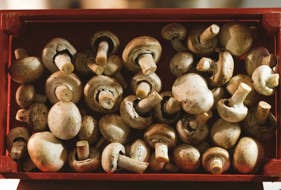 Photo Global cuisine