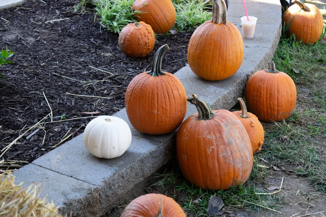 Photo Seasonal produce