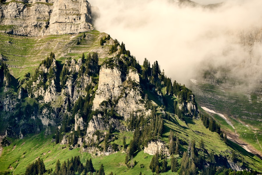 Photo peisaje naturale din lume