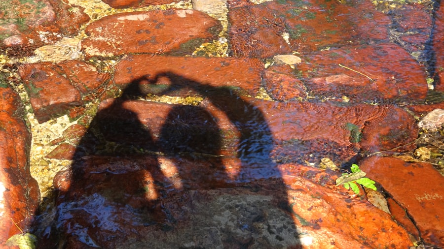 Photo vacation experience