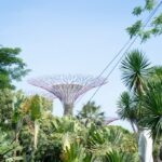 Photo conservation architecture