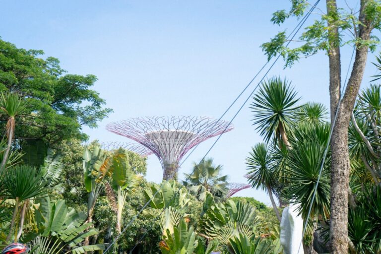 Photo conservation architecture