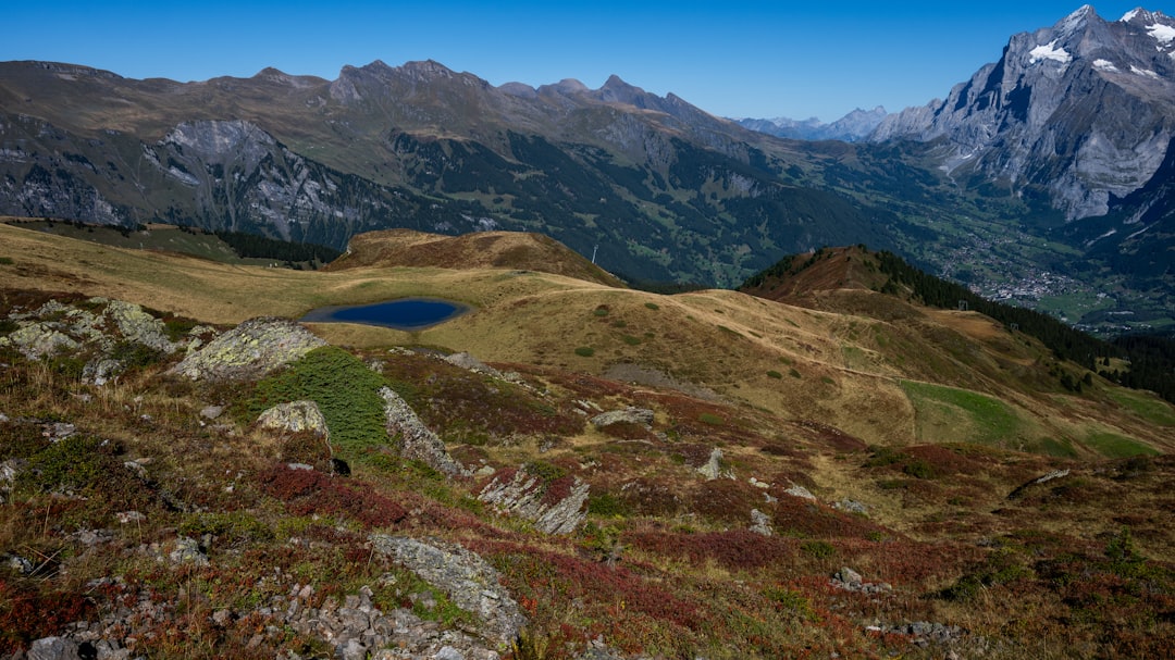 Photo trasee montane