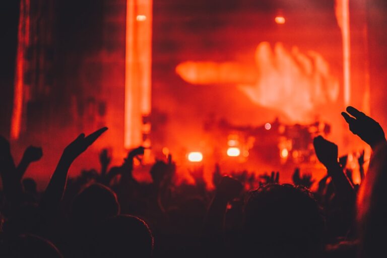 Photo music and art festivals