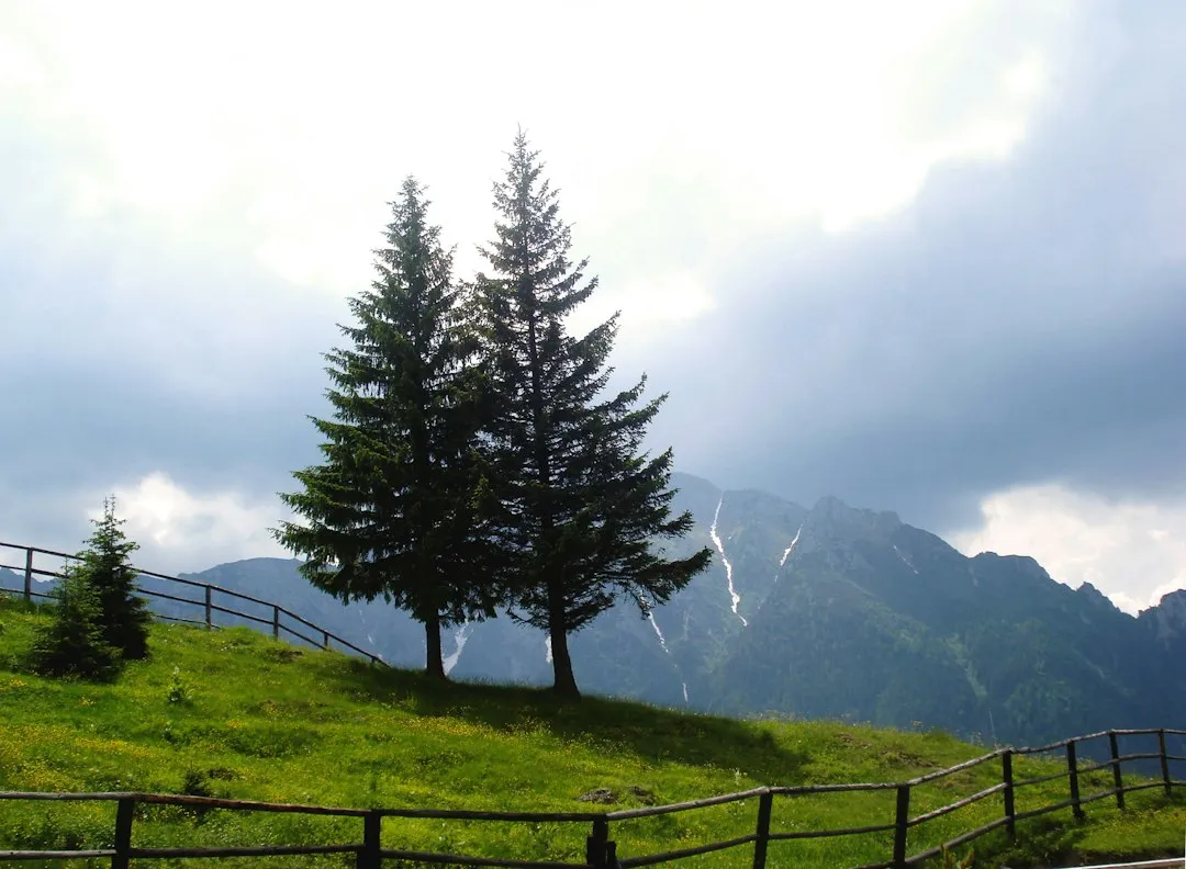 Photo Bucegi Mountains hiking guide