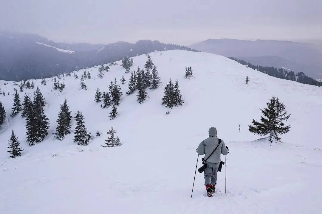 Photo Bucegi Mountains ski touring guide