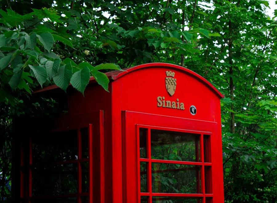 Sinaia history common mistakes